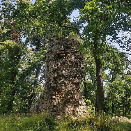 Ferienhaus Renate 7 Thale Εξωτερικό φωτογραφία