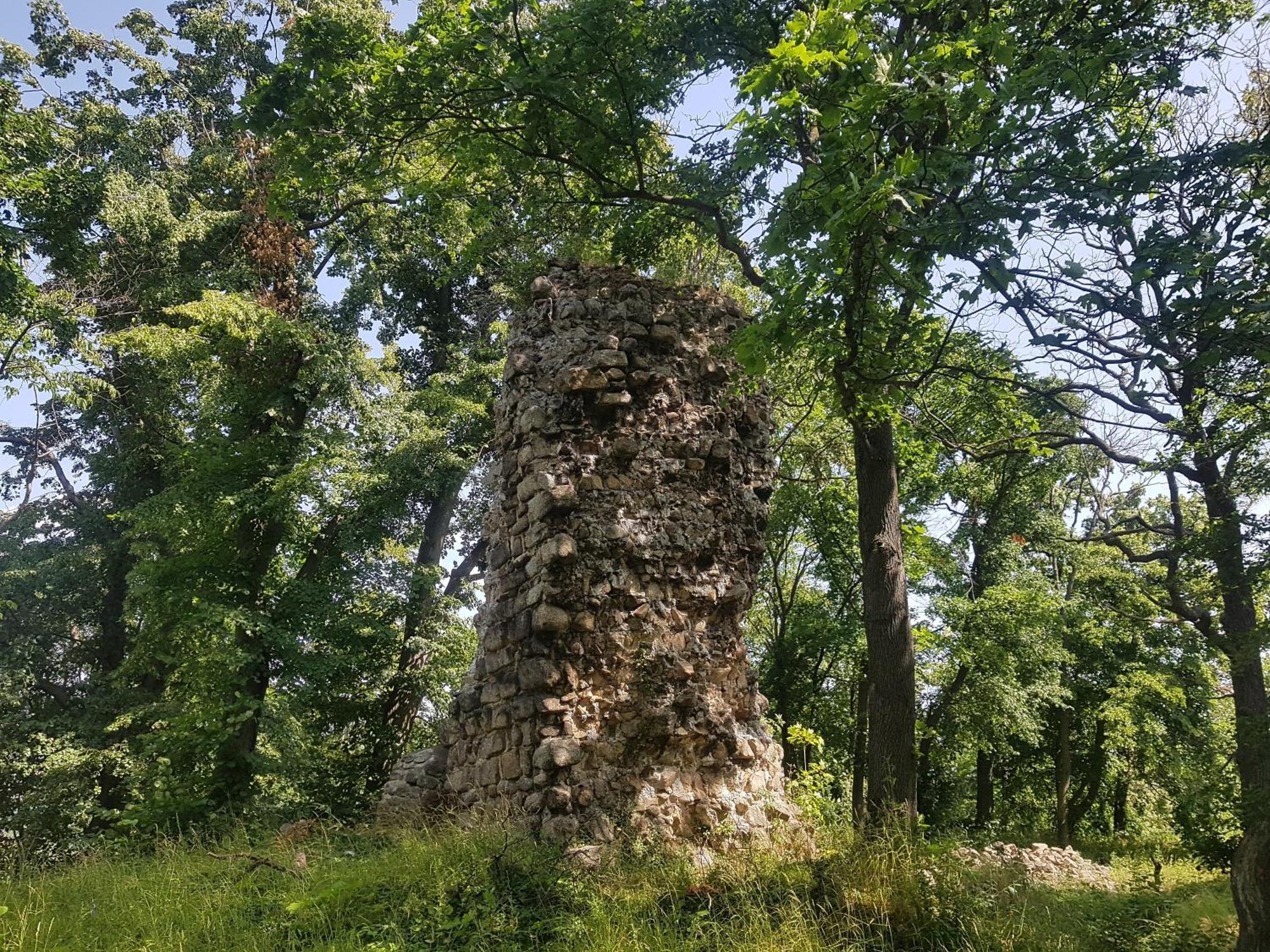 Ferienhaus Renate 7 Thale Εξωτερικό φωτογραφία